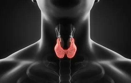 آنچه باید درباره کم کاری تیروئید بدانیم