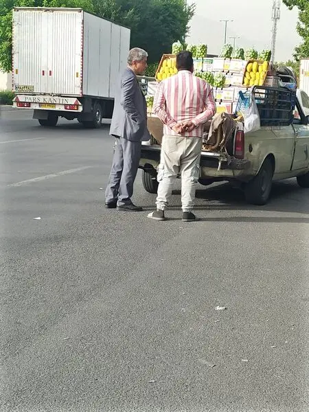 وزیر اقتصاد هم دنبال میوه ارزان 