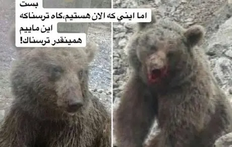 ترس مژده لواسانی از آدم‌ها