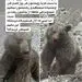 ترس مژده لواسانی از آدم‌ها
