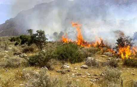 پارک حیات وحش میانکاله دچار آتش سوزی شد