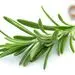اگر سیر نمیخورید جایگزین آن را بشناسید