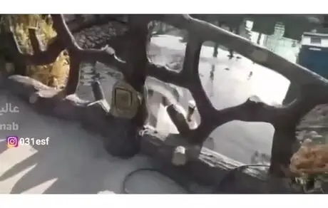 کشف باغ‌وحش خانگی