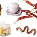 پرهیز غذایی برای سوزش سردل