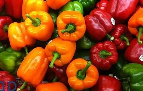 خواص فلفل دلمه‌ای؛ کدام رنگ مغذی‌تر است؟