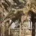 تخلیه کارمندان سفارت آمریکا از بغداد