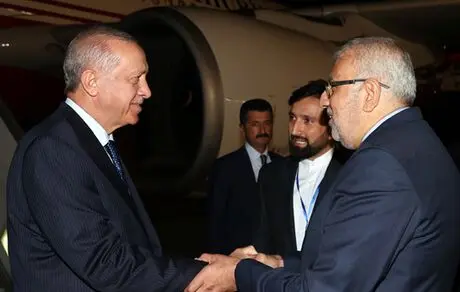 استقبال از اردوغان در تهران توسط اوجی وزیر نفت