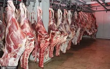 فروش گوشت ارزان تر از بازار شروع شد