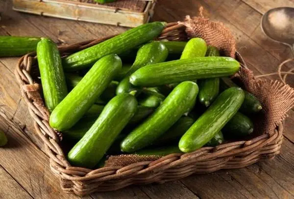 این افراد هرگز خیار نخورند!