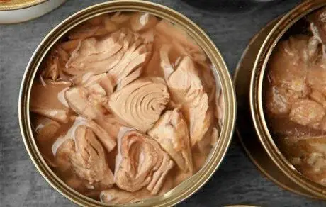 قیمت کنسرو ماهی از اول بهمن افزایش می‌یابد