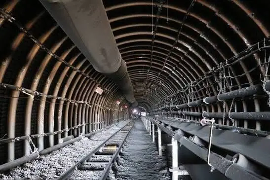 سمیعی‌نژاد: بخش ایمنی طرح جامع زغال‌سنگ بازنگری می شود


