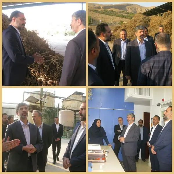 پیوند با مراجع دانش بنیان برای بهبود تولید و جلوگیری از خام فروشی در دستور کار قرار گیرد