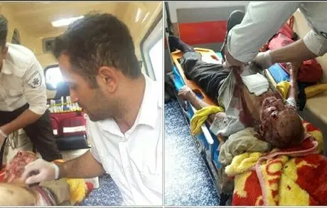 حمله پلنگ به چوپانی در بابل + عکس