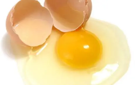 تخم مرغ مفید است یا مضر؟