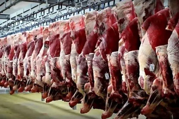 راسته گوسفندی میلیونی شد!