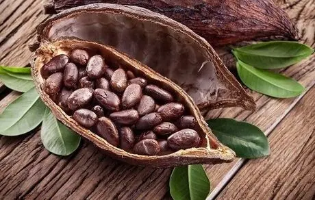 سی سال دیگر باید با شکلات خداحافظی کنیم؟