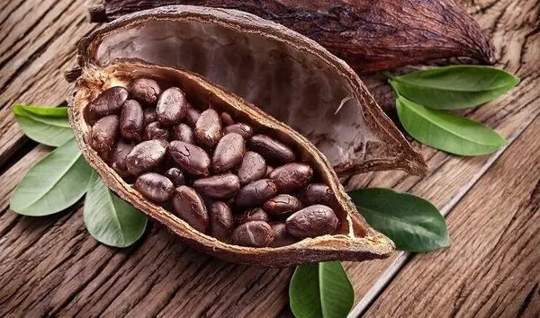 سی سال دیگر باید با شکلات خداحافظی کنیم؟