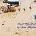 آماده‌باش بیمه سرمد در استان‌های سیل زده