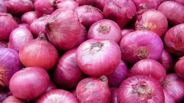 قیمت جدید پیاز اعلام شد!