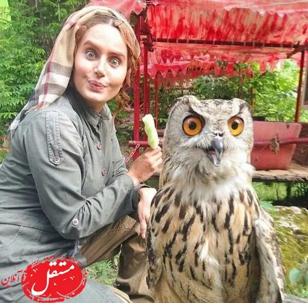 جغد بامزه الناز شاکردوست + عکس