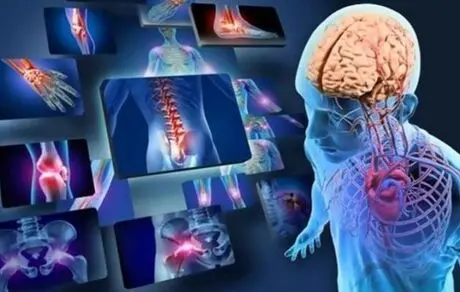 در بدن انسان، برخی از اعضا پیرتر از بقیه هستند