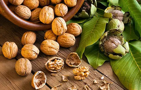 آجیلی که جلوی فراموشی افراد مسن را می گیرد
