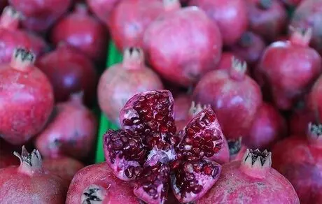 دانشجویی که جای سوئدی‌ها را گرفت
