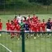 اسماعیل حلالی : پرسپولیس شانس اول قهرمانی است