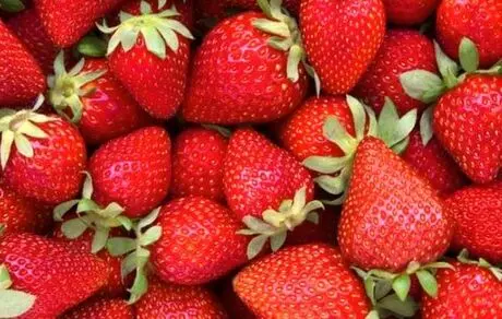 نکاتی مهم برای شستن توت فرنگی 
