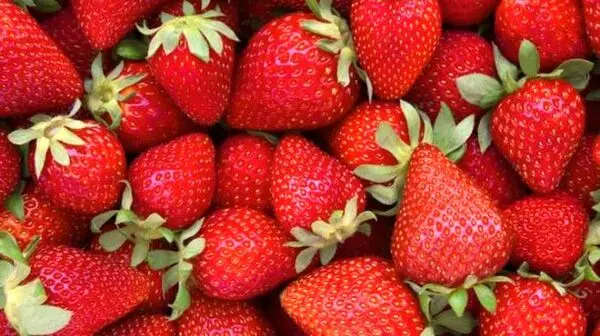 نکاتی مهم برای شستن توت فرنگی 
