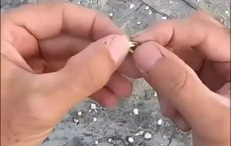 کشف گنج نفیس هزاره اول قبل از میلاد در کرمانشاه