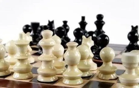 سرمربی هلندی شطرنج رفت!