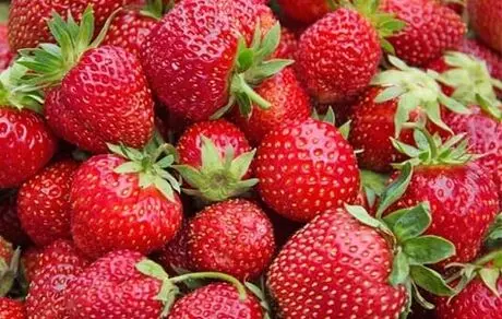 خوردن توت فرنگی باعث ابتلا به هپاتیت A می شود