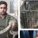 کشف مار‌های پیتون غول‌پیکر از یک خانه‌+عکس