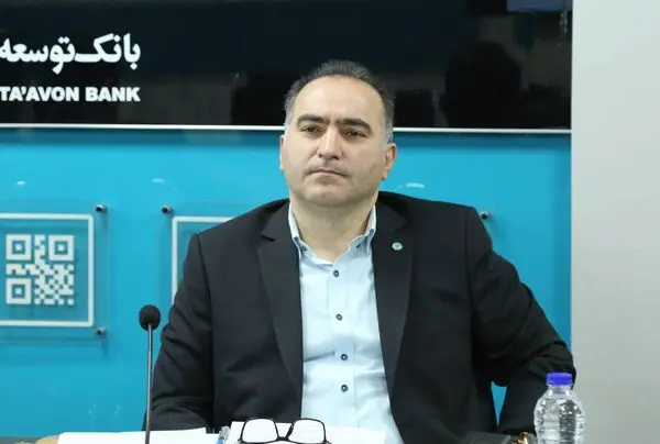 عضو هیات مدیره بانک توسعه تعاون؛ ریسک های مرتبط با فرآیندهای بانک مورد بررسی قرار می گیرد