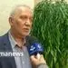 باید به زندگی کرونایی عادت کنیم/کرونا از بین نمی رود