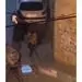 کار مردم به سرقت تابلوهای راهنمایی و رانندگی رسید! 