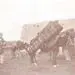 عکسی دیده نشده از شیوه حمل جنازه در دوره قاجار