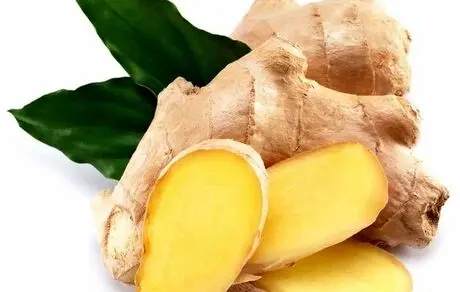 زنجبیل، نابودگر تومور‌های مغزی