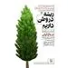 خاتون‌آباد، ایستگاه چهارم پویش کاشت ۱۵۳هزار نهال مس ایران

