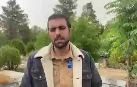 خانم گوگوش! اگر مادرم بود می‌گفت که با پسرش چه کردید!