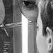 موهای پسرونه خانم بازیگر + عکس
