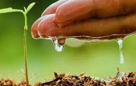 طبیعت به کمک دولت آمده!