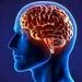 فریز کردن مغز برای حیات دوباره در آینده