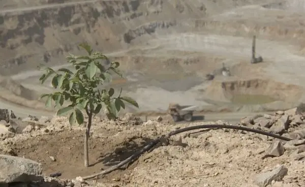 مسیر سبز مس ایران برای تأمین پایدار انرژی


