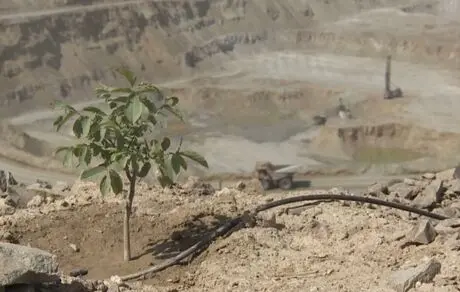مسیر سبز مس ایران برای تأمین پایدار انرژی

