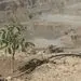 مسیر سبز مس ایران برای تأمین پایدار انرژی


