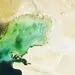 دریای خزر در کام مرگ