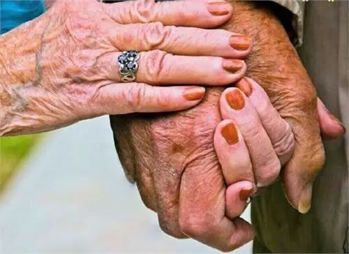 افزایش ازدواج در میان زوج‌های بالای ۵۰ سال؛ عشق در هر سنی زنده است