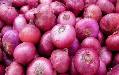 درباره پیاز و خواص بی‌نظیر آن